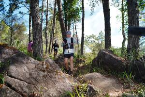 BIB: 
                            <button type="button" onclick="openModal(18957288)" class="btn btn-primary btn-sm float-right btn-popup" data-toggle="modal" data-target=".modal-high-quality">
                        <i class="fas fa-shopping-cart"></i> Add to Cart
                    </button>
                                            <button type="button" onclick="isThisMe(18957288, true)" class="btn btn-success btn-sm float-right btn-popup btn-isme hidden" data-toggle="tooltip" data-placement="bottom" title="นี่คือรูปของคุณใช่ไหม คลิกที่นี่เพื่อเอาเข้าอัลบั้ม">
                        <i class="fas fa-plus"></i> Add to album
                    </button>
                    <button type="button" onclick="isThisMe(18957288, false)" class="btn btn-warning btn-sm float-right btn-popup btn-isnotme hidden">
                        <i class="fas fa-ban"></i> Remove from album
                    </button>